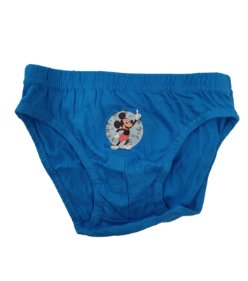 TRIS SLIP BAMBINO WE3055 Ingrosso CARTOONS Tellini S.r.l.